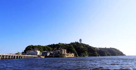 公司信息