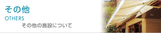 { -̑-