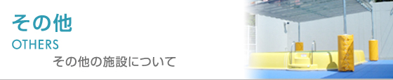 X|[c{ -̑-